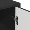 vidaXL Bathroom Cabinet Wall-mounted with Door Black 39 x 23.5 x 65 cm