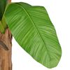 Product Thumbnail Image 2 of 2