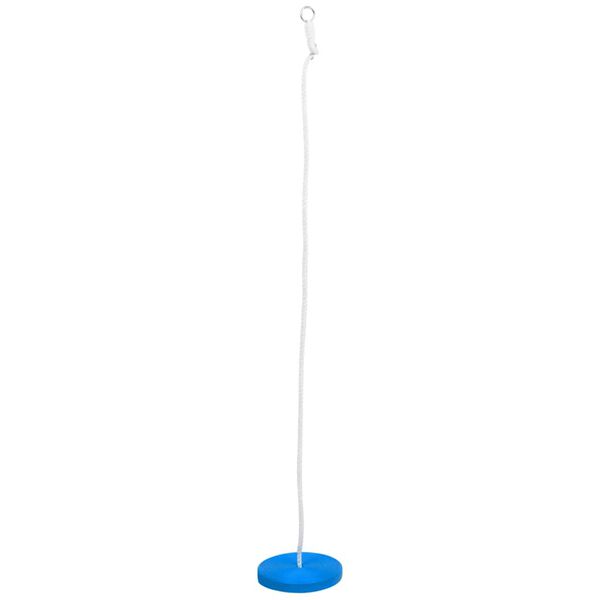 vidaXL Plate Swing 200 cm Blue