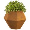 vidaXL Planter Rusty 75 x 75 x 60 cm Weathering Steel