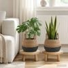Product Thumbnail Image 2 of 6