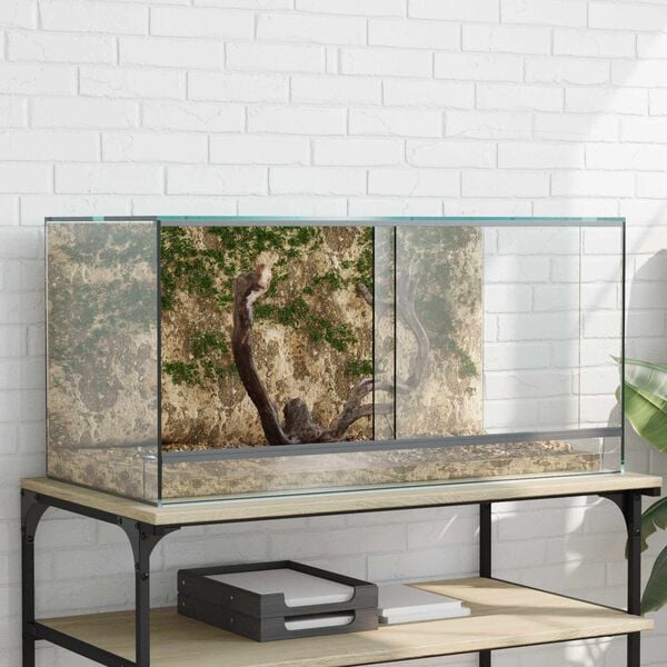 Showing Product Image 2 of 12