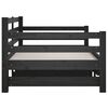 vidaXL Pull-out Day Bed without Mattress Black 2x(90x190)cm