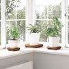 Product Thumbnail Image 3 of 13