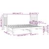 vidaXL Pull-out Day Bed without Mattress Grey 2x(90x190) cm