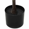 Product Thumbnail Image 3 of 5