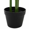Product Thumbnail Image 5 of 6