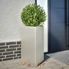 Product Thumbnail Image 2 of 12