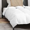 vidaXL Winter Duvet with Pillow 2 pcs White Down Feather