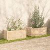 vidaXL Garden Planters 2 pcs 100x50x50 cm Solid Pinewood