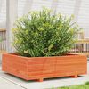 vidaXL Garden Planter Wax Brown 80x80x26.5 cm Solid Wood Pine
