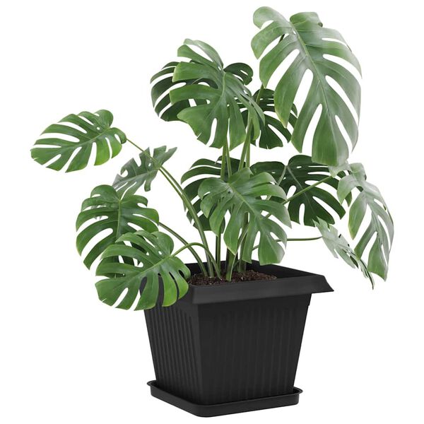 Showing Product Image 3 of 12