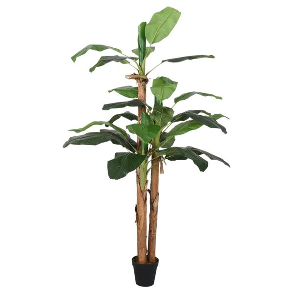 Showing Product Image 2 of 5