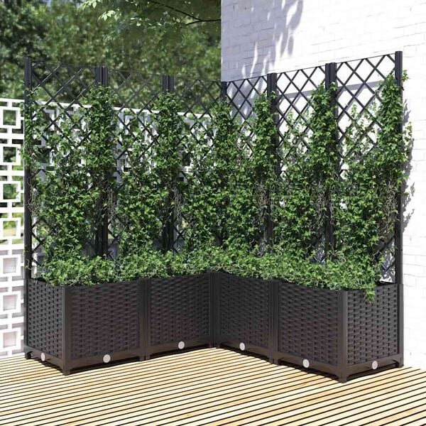 Showing Product Image 1 of 8
