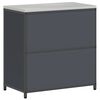 vidaXL Kitchen Storage with Shelf Anthracite 90 x 50 x 92 cm Steel