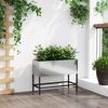 Product Thumbnail Image 4 of 14