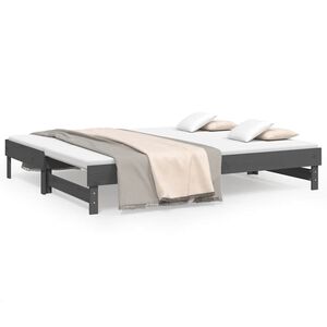 vidaXL Pull-out Day Bed without Mattress Grey 2x(80x200) cm