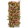 Product Thumbnail Image 4 of 6