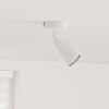 vidaXL Ceiling Spotlight with Spotlights White 8 x 8 x 14 cm Metal