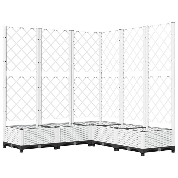 Showing Product Image 2 of 8