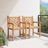 vidaXL Garden Chair 2 pcs 60 x 58 x 90 cm Solid Teak Wood
