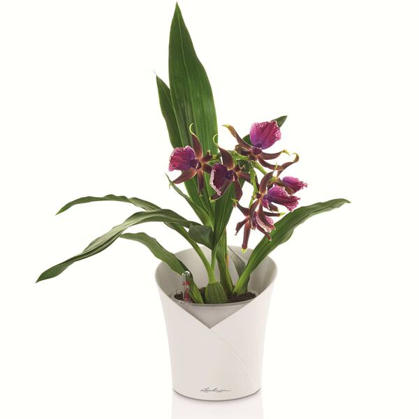 LECHUZA Planter ORCHIDEA ALL-IN-ONE Matt White