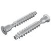 vidaXL Confirmat Screws 2 pcs Silver &Oslash;7 x 50 mm Metal