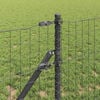 Product Thumbnail Image 4 of 15