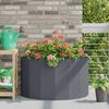 Product Thumbnail Image 2 of 12