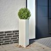 Product Thumbnail Image 2 of 11