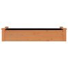 vidaXL Garden Raised Bed with Liner Brown 120x45x25 cm Solid Wood Fir