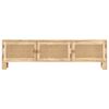 vidaXL TV Cabinet 140x30x40 cm Solid Mango Wood and Natural Cane