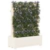 Product Thumbnail Image 2 of 6