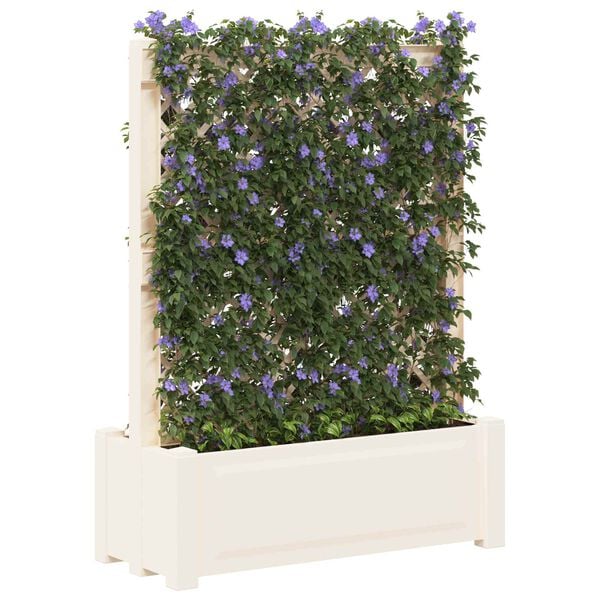 Showing Product Image 2 of 6