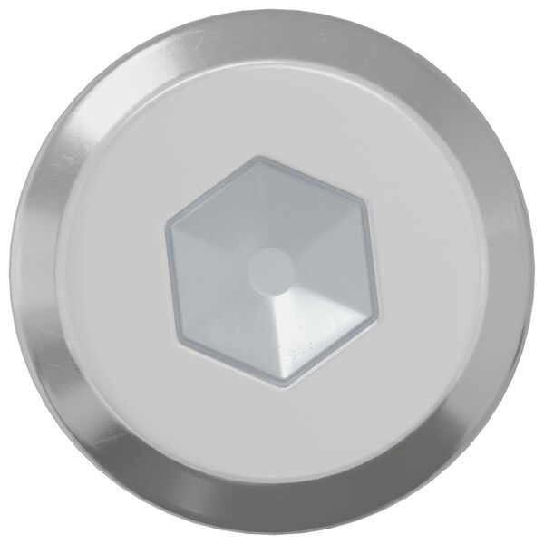 vidaXL Lock Screw Plain 2 pcs Silver M6 x 30 mm Steel