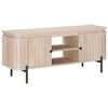 vidaXL TV Cabinet with Shelf with Storage with Door 105 x 30 x 45 cm
