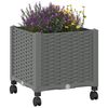 Product Thumbnail Image 3 of 8