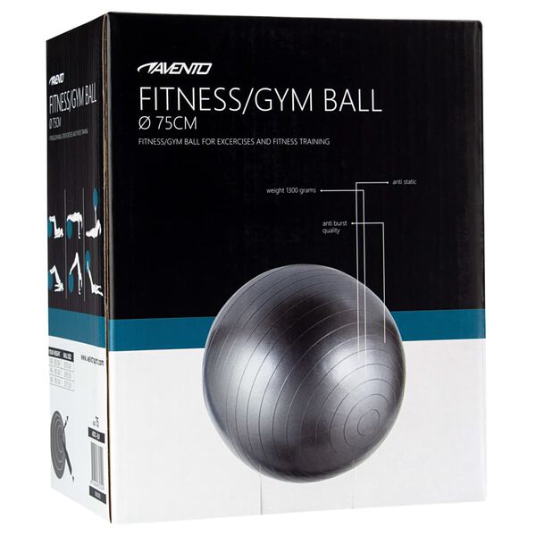 Avento Fitness/Gym Ball Dia. 75 cm Silver
