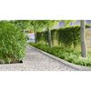 vidaxl Lawn Edge Silver 1000 x 20 x 0.03 cm Galvanized Steel