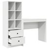 vidaXL Desk with Drawer 2 pcs White
