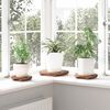 Product Thumbnail Image 3 of 13