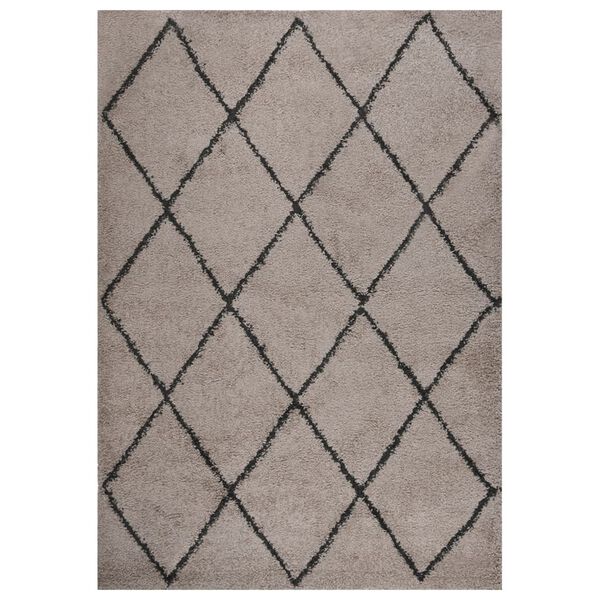 vidaXL Shaggy Rug High Pile Beige and Anthracite 140x200 cm