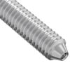 vidaXL Screw 2 pcs Silver M6 x 120 mm Steel