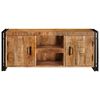vidaXL TV Cabinet Brown 120 x 30 x 50 cm Solid rough mango wood