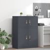 vidaXL Storage Cabinet Anthracite 80 x 40 x 40 cm Cold-Rolled Steel