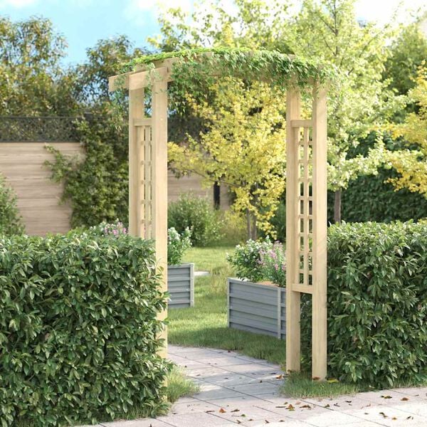vidaXL Trellis Arch 150x60x210 cm Wood