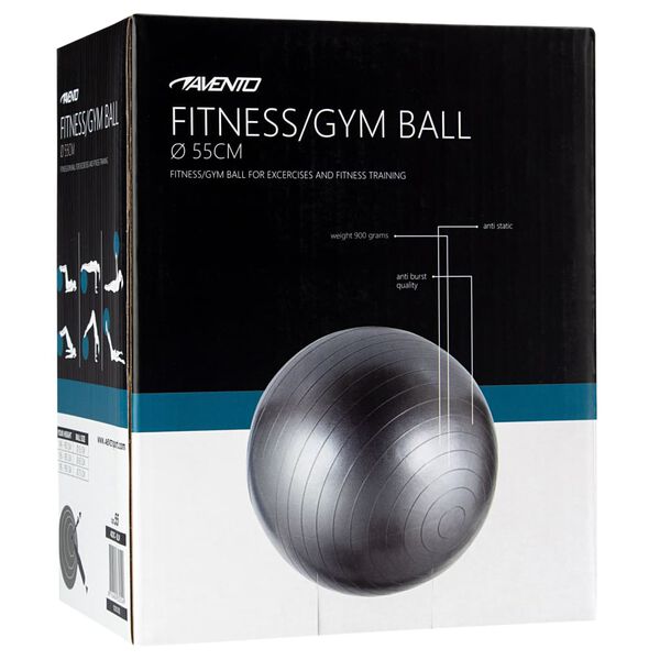 Avento Fitness/Gym Ball Dia. 55 cm Silver