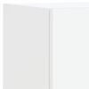 Product Thumbnail Image 13 of 19