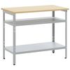 vidaXL Work Table with Shelf Grey 100 x 55 x 85 cm Powder-Coated Steel