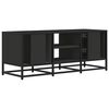 vidaXL TV Cabinet Black 100x35x41 cm Engineered Wood and Metal